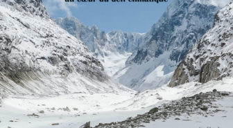 AVH_affiche_2025_lauriers_©provafilms